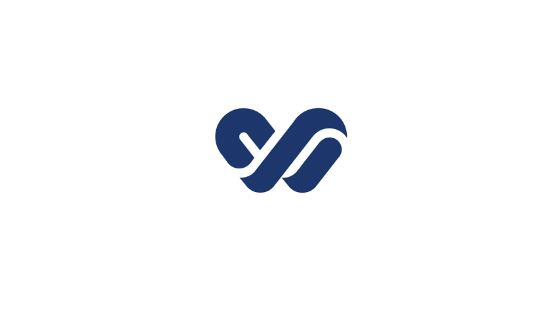 Wits VIDA Logo